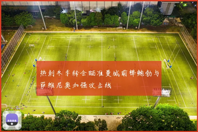 热刺冬季转会瞄准曼城前锋鲍勃与萨维尼奥加强攻击线